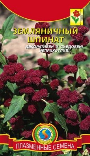 Шпинат Земляничный Плазмас 0,05г Шпинат Земляничный Плазмас 0,05г - купить в Тамбове