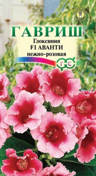 Глоксиния Аванти нежно-розовая 5шт Гавриш - купить в Тамбове
