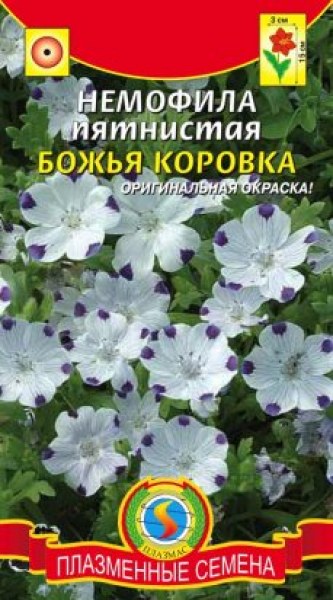 Немофила Божья коровка Плазмас 0,2г Немофила Божья коровка Плазмас 0,2г - купить в Тамбове