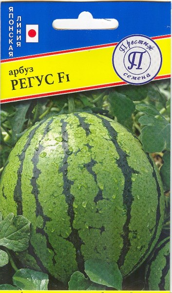 Арбуз Регус (бессемянный) Престиж 3шт Арбуз Регус (бессемянный) Престиж 3шт - купить в Тамбове