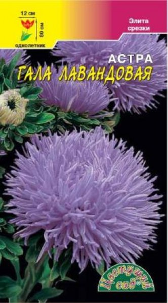 Астра Гала Лавандовая Цвет.сад 0,1г - купить в Тамбове