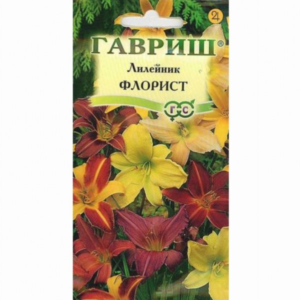 Лилиейник Флорист Гавриш 5шт Лилиейник Флорист Гавриш 5шт - купить в Тамбове