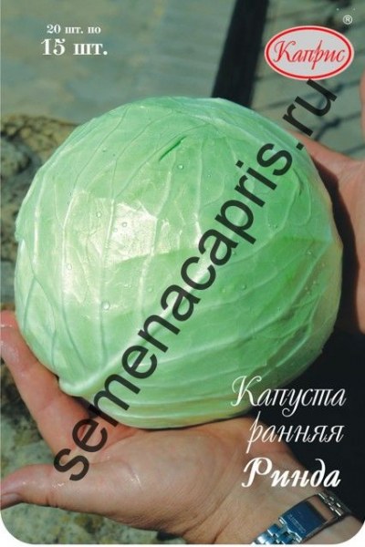 Капуста Ринда Каприс 15шт Капуста Ринда Каприс 15шт - купить в Тамбове