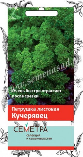 Петрушка Кучерявец листовая Семетра Поиск 3г - купить в Тамбове