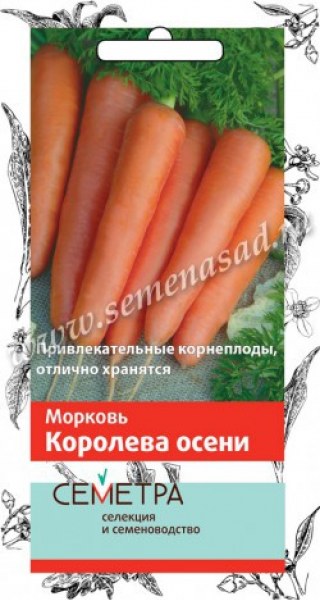 Морковь Королева осени Семетра Поиск 2г - купить в Тамбове