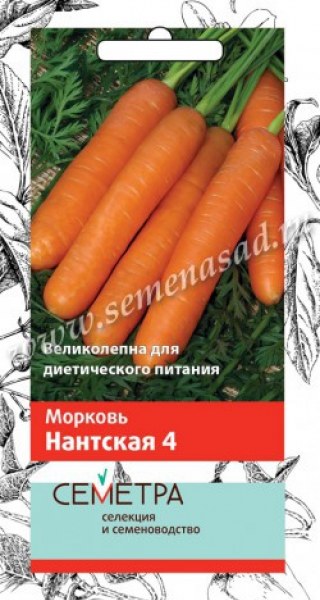 Морковь Нантская 4 Семетра Поиск 2г - купить в Тамбове