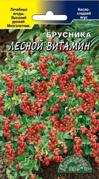 Брусника Лесной витамин Цвет.сад 0,01г - купить в Тамбове