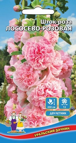 Шток-роза Лососево-розовая УД 10шт - купить в Тамбове