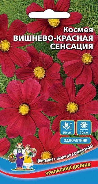 Космея Вишнево-красная сенсация УД 0,15г - купить в Тамбове