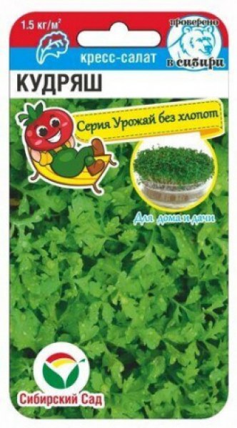 Кресс-салат Кудряш Сиб.сад 0,5г - купить в Тамбове