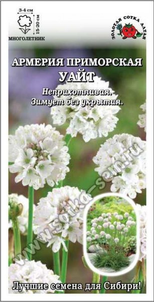 Армерия Уайт ЗСА 5шт Армерия Уайт ЗСА 5шт - купить в Тамбове