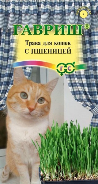 Трава д/кошек с пшеницей Гавриш 10г - купить в Тамбове