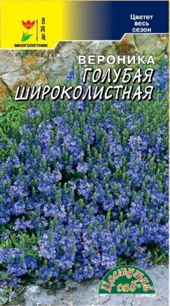 Вероника Голубая широколистная Цвет.сад 0,1г - купить в Тамбове