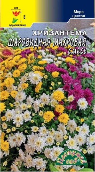 Хризантема Махровая шаровид смесь Цвет.сад 0,04г - купить в Тамбове
