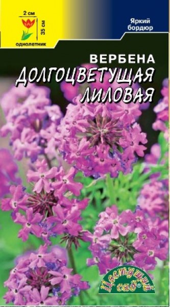 Вербена Долгоцветущая лиловая Цвет.сад 0,1г - купить в Тамбове