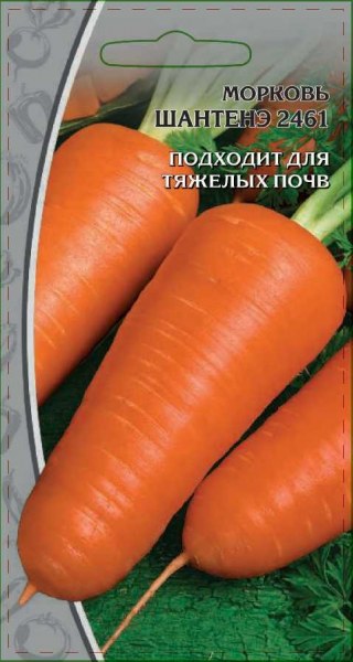 Морковь Шантанэ 2461 ВХ 2г - купить в Тамбове