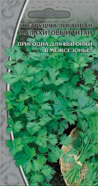 Петрушка Малахитовый титан листовая ВХ 2г - купить в Тамбове