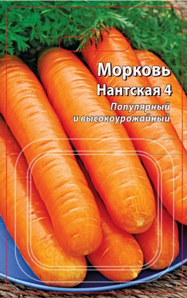 Морковь Нантская 4 др ВХ 300шт - купить в Тамбове