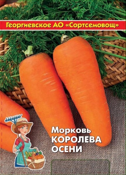 Морковь Королева осени ССО10г - купить в Тамбове
