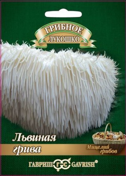 Львиная грива Ямабуши (Ежевик гребенчатый) Гавриш - купить в Тамбове