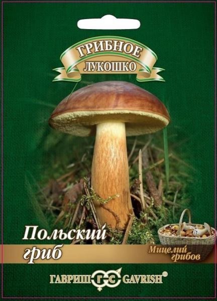Польский гриб на зерновом субстрате Гавриш 15мл - купить в Тамбове