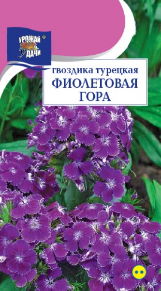 Гвоздика турецкая Фиолетовая гора УУ 0,2г - купить в Тамбове