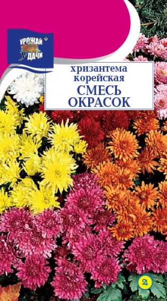 Хризантема корейская смесь окрасок УУ 0,02г - купить в Тамбове