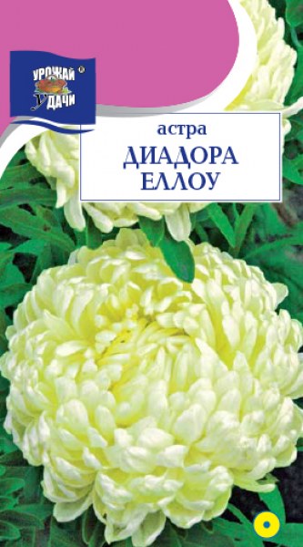 Астра Диадора еллоу УУ 0,2г Астра Диадора еллоу УУ 0,2г - купить в Тамбове