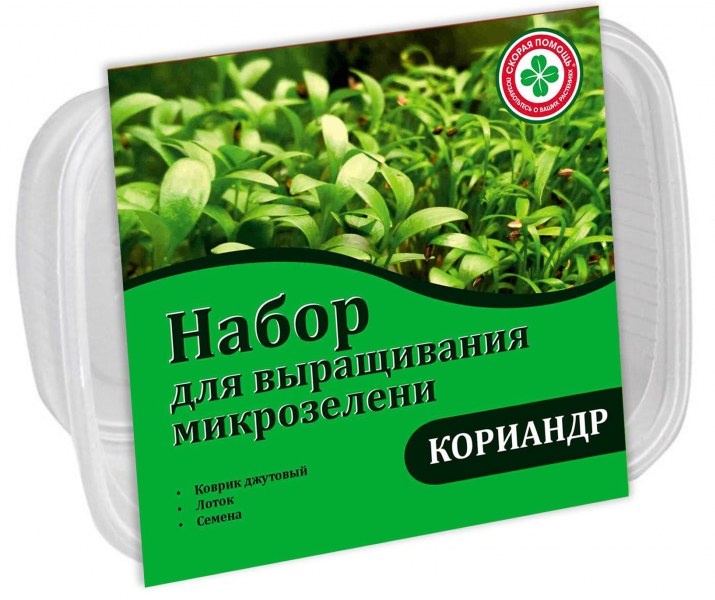 Набор для выращивания микрозелени Кориандр - купить в Тамбове