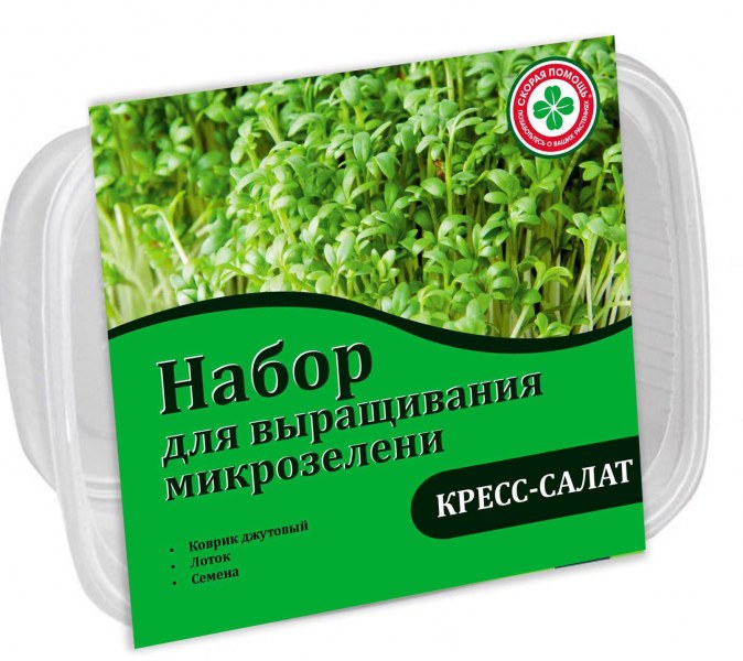 Набор для выращивания микрозелени Кресс-салат - купить в Тамбове