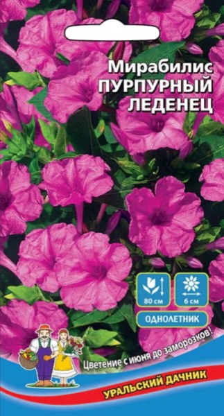 Мирабилис Пурпурный леденец УД 0,5г - купить в Тамбове