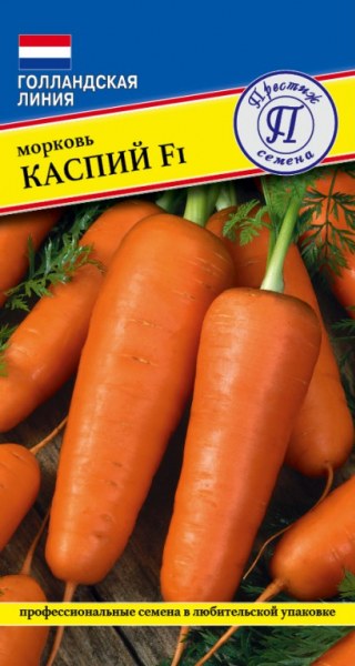 Морковь Каспий Престиж 0,5г - купить в Тамбове