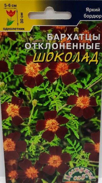 Бархатцы Шоколад Цвет.сад 0,05г - купить в Тамбове