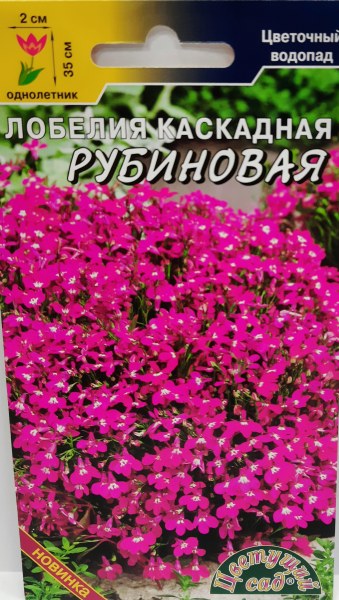 Лобелия каскадная Рубиновая Цвет.сад 0,05г - купить в Тамбове