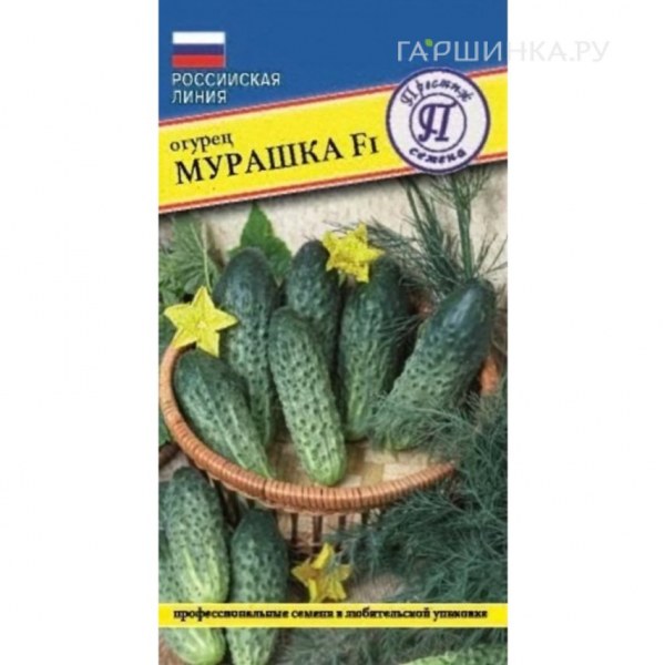 Огурец Мурашка Престиж 5шт Огурец Мурашка Престиж 5шт - купить в Тамбове