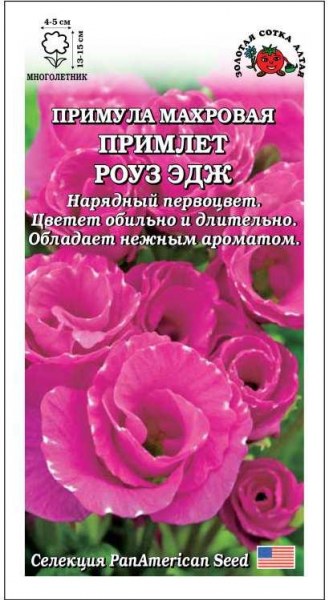 Примула Примлет Роуз эдж ЗСА 5шт Примула Примлет Роуз эдж ЗСА 5шт - купить в Тамбове