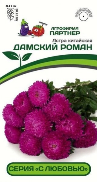 Астра китайская Дамский роман Партнер 5шт Астра китайская Дамский роман Партнер 5шт - купить в Тамбове