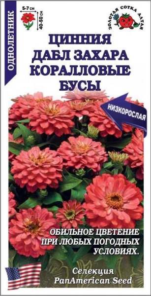 Цинния Дабл Захара Кораловые Бусы ЗСА 5шт Цинния Дабл Захара Кораловые Бусы ЗСА 5шт - купить в Тамбове