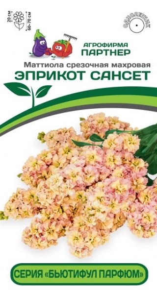 Маттиола Бьютифул Парфюм Эприкот Сансет Партнер 10шт Маттиола Бьютифул Парфюм Эприкот Сансет Партнер 10шт - купить в Тамбове