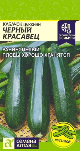Кабачок Черный красавец СемАлт 2г Кабачок Черный красавец СемАлт 2г - купить в Тамбове