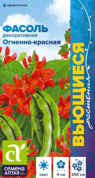Фасоль декор Огненно-красная СемАлт 5г Фасоль декор Огненно-красная СемАлт 5г - купить в Тамбове