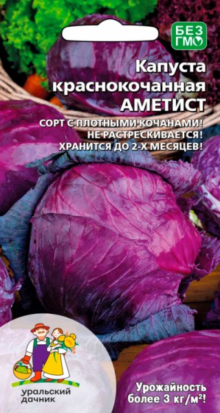Капуста краснокочанная Аметист УД 0,25г Капуста краснокочанная Аметист УД 0,25г - купить в Тамбове
