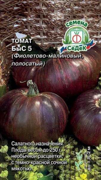 томат Быс 5(фиолет-малин) Седек 0,03г томат Быс 5(фиолет-малин) Седек 0,03г - купить в Тамбове