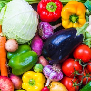 Семена овощей - купить в Тамбове